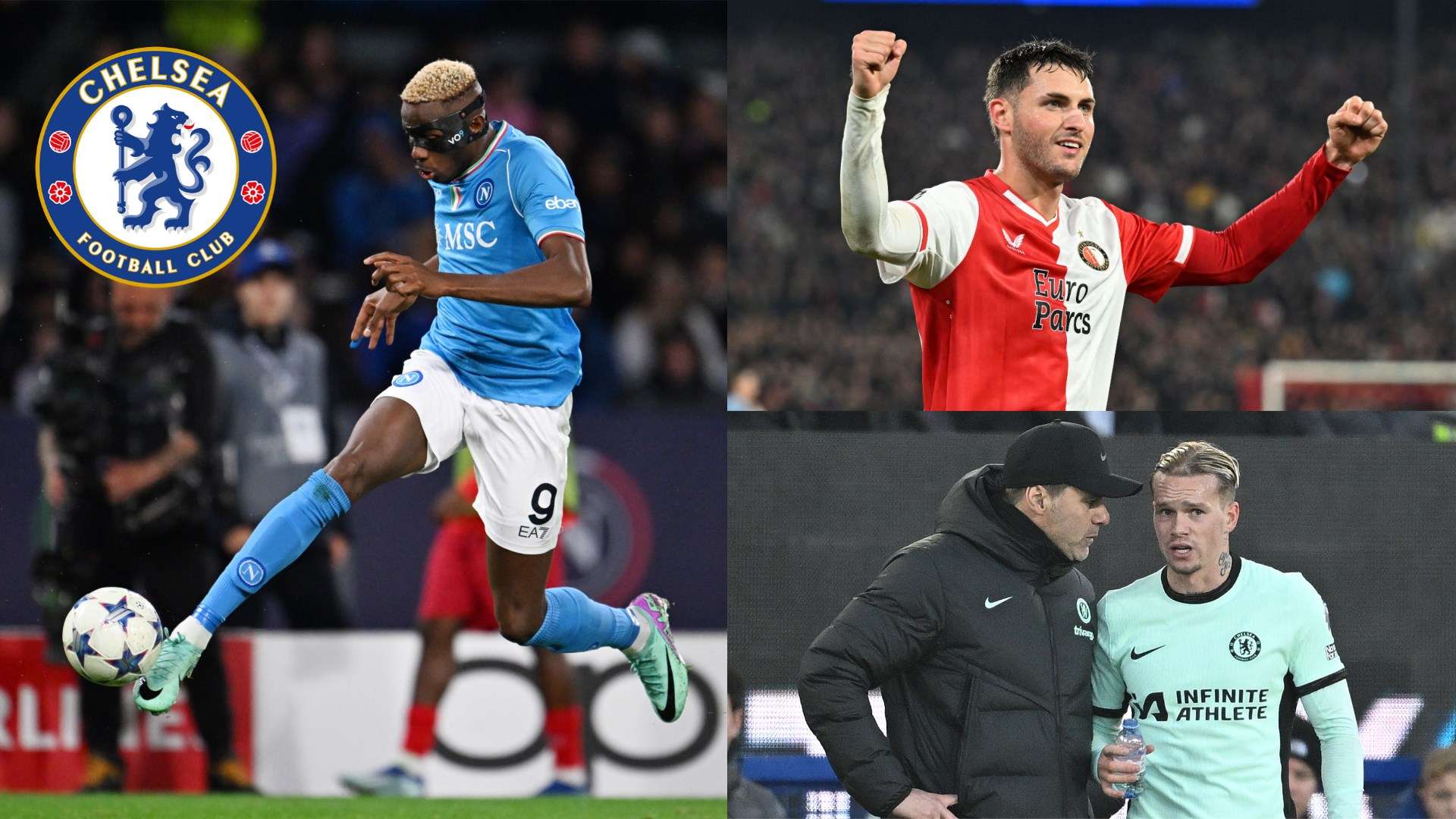 教练或补充 教练或补充